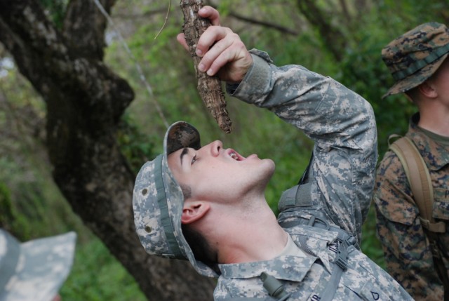 Muir drinking from vine