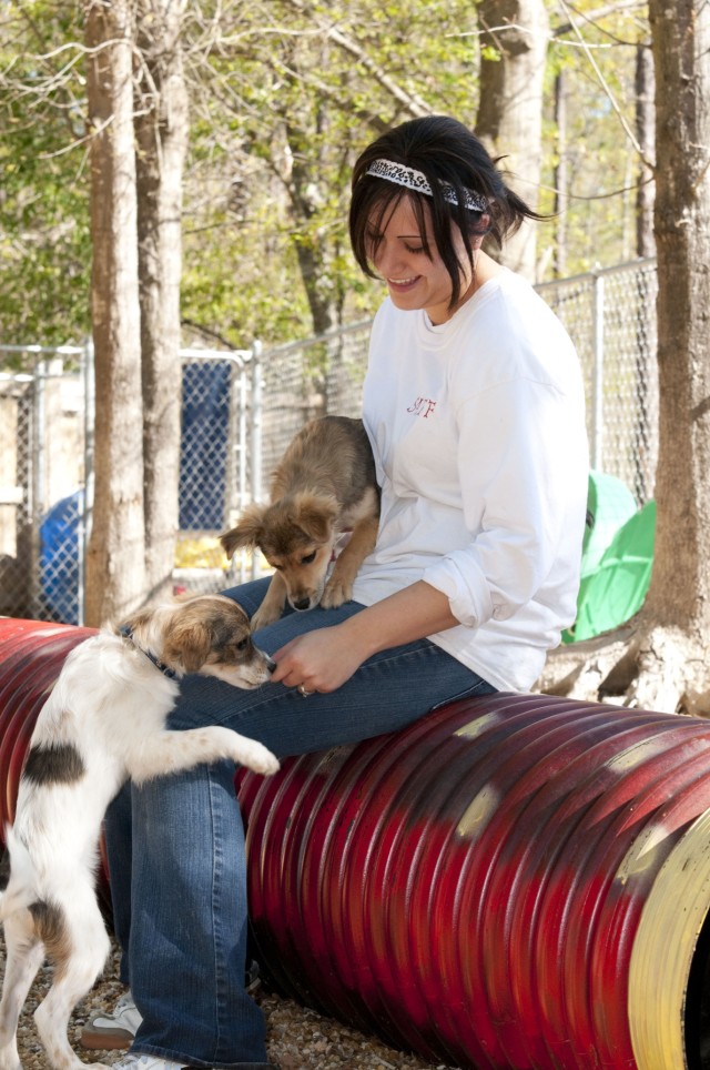 It&#039;s a dog&#039;s life:  Animal career appeals to military spouse