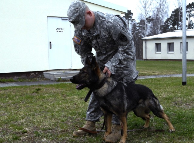 Working Dogs perform demonstration for Multinational Partners