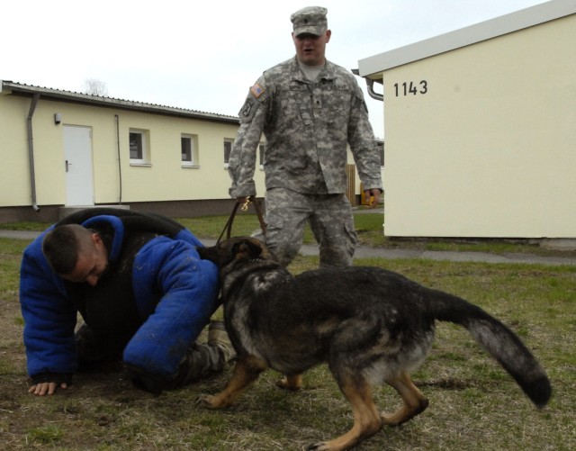 Working Dogs perform demonstration for Multinational Partners