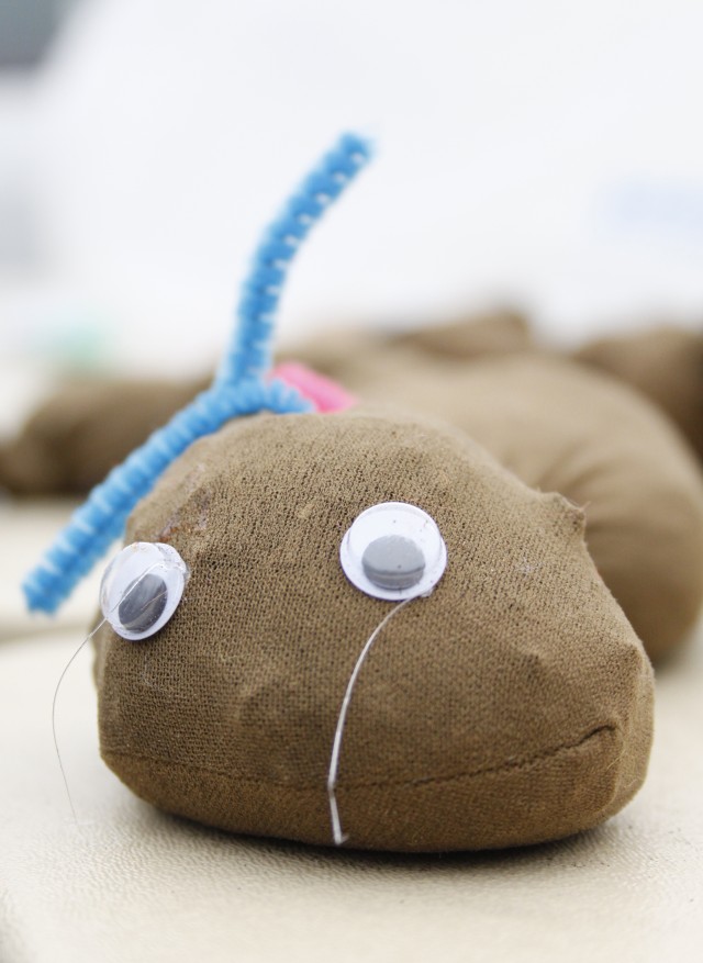 Creating Earth-friendly earthworms