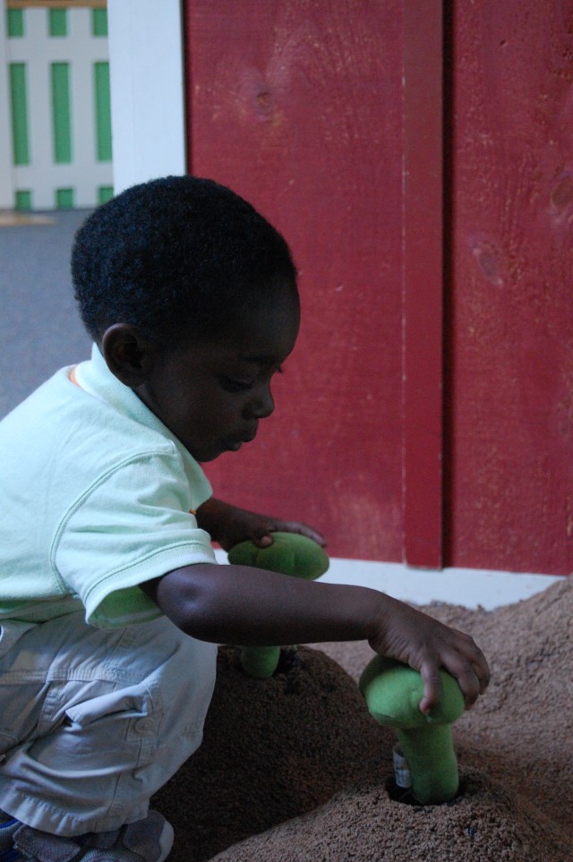 Learning Fun For Kids
