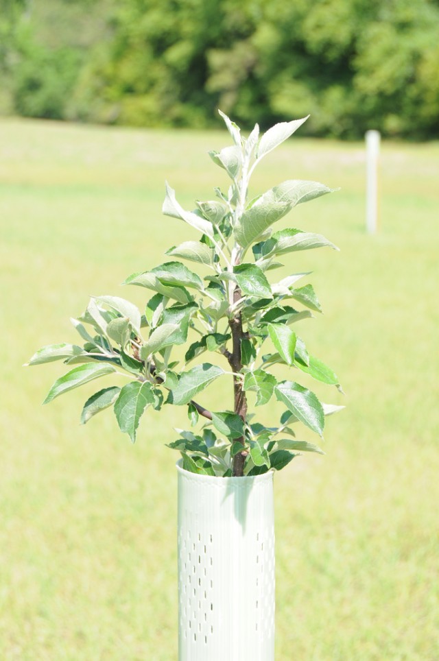 Earth Day 2011 - Sustain the environment for a secure future