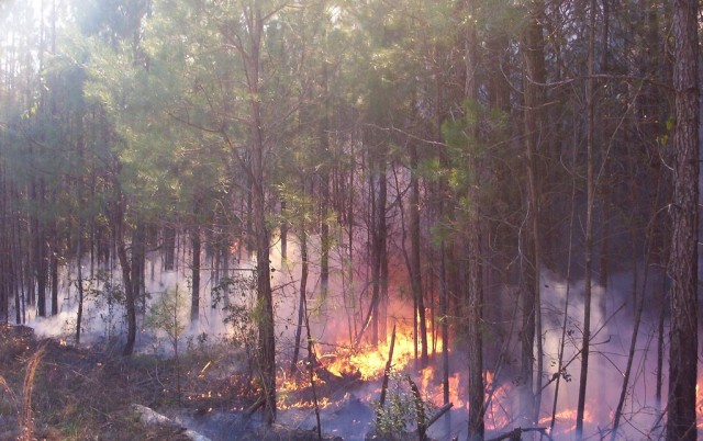 Controlled burns help environment, wildlife