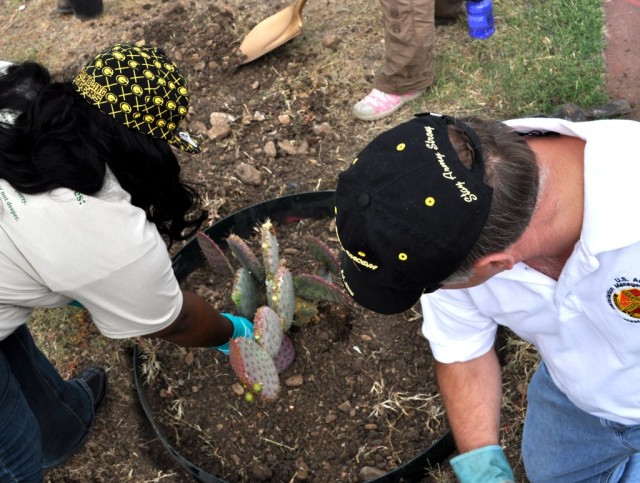 Volunteers fill in a hole for a new cactus at John James Park on Earth Day.