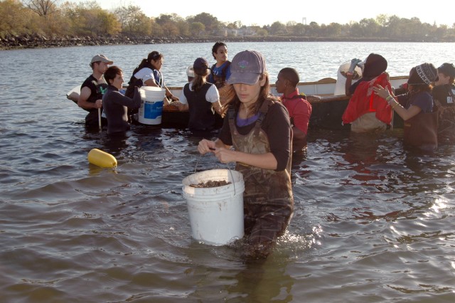 Reef creation in the Bronx