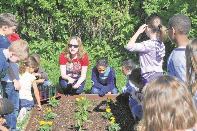 Elementary school starts composting program
