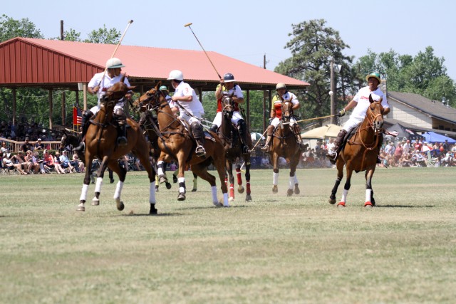 Polo0265