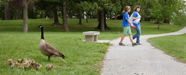 Fort Meade community cleans up