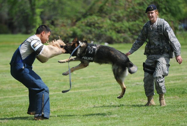 Dogs 2
