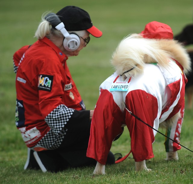 Dogs 3