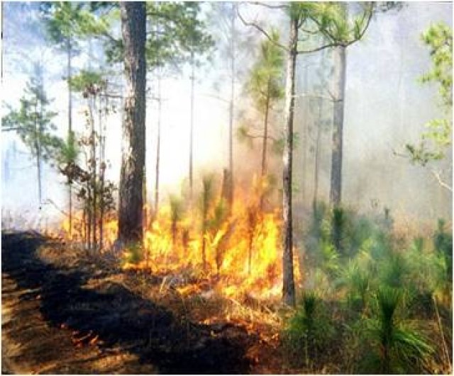 Prescribed burns under way
