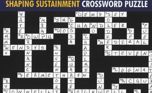 Shaping Sustainment Crossword Puzzle