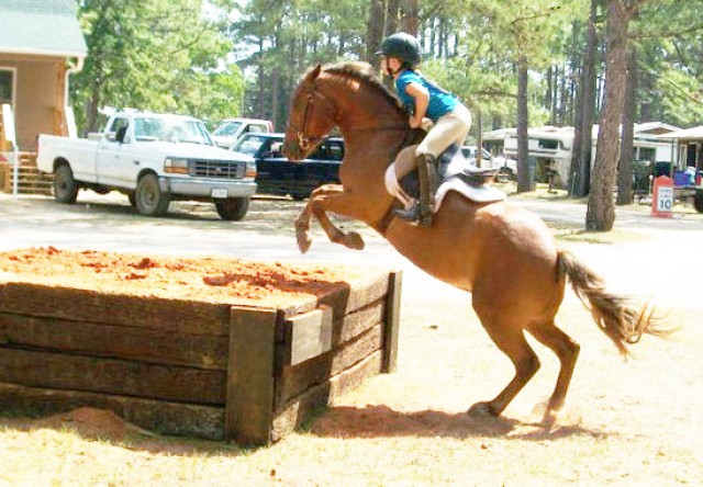Equestrian center offers outlet for horse lovers