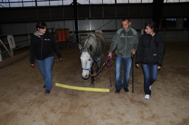 Equine Facilitated Learning 7