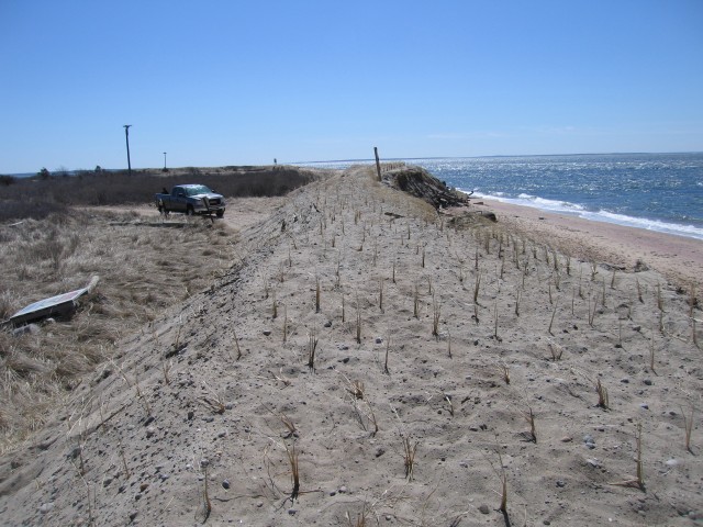 Dune Work