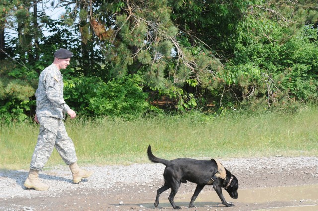 Military working dog handler Sgt. Patrick Pfiester walks with Iiken, a 5-year-old Labrador retriever specialized search dog, during a military working dog explosives detection certification June 9. Pfiester and Iiken are preparing for a deployment to...