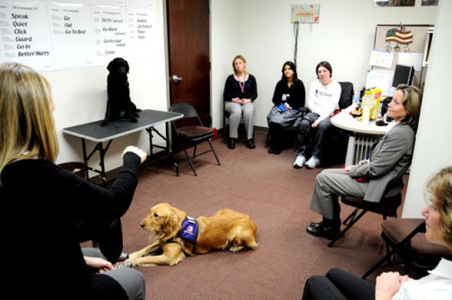 Paws of healing: Service dogs help soothe wounds of war