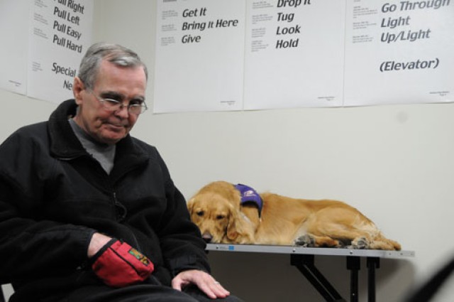 Paws of healing: Service dogs help soothe wounds of war