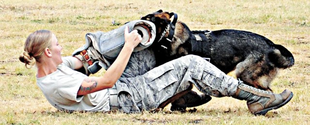 Military working dogs demo