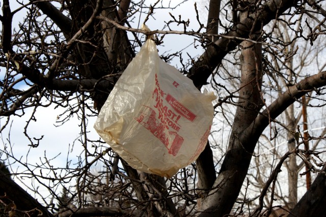 Reusable Bag Campaign to Eliminate Plastic Bags by 2013