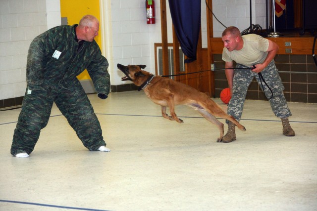 Dogs218