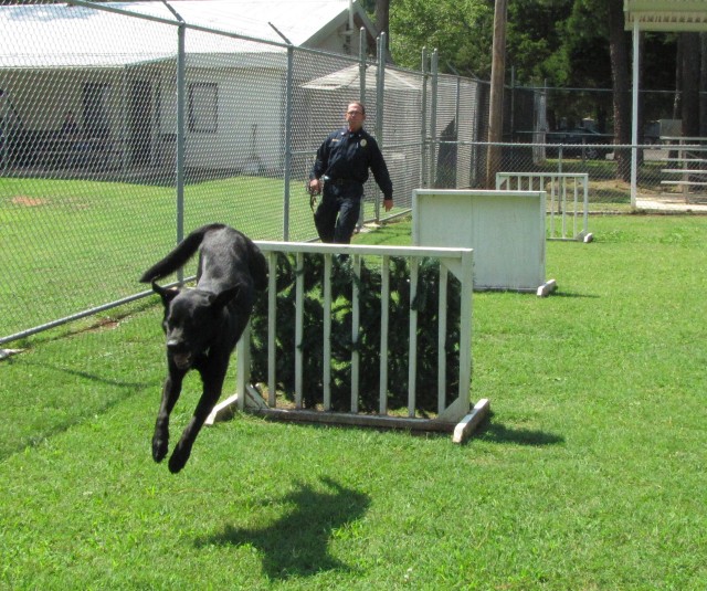Sgt. Booth Puts His Dog Beckie Through A Training Exercise