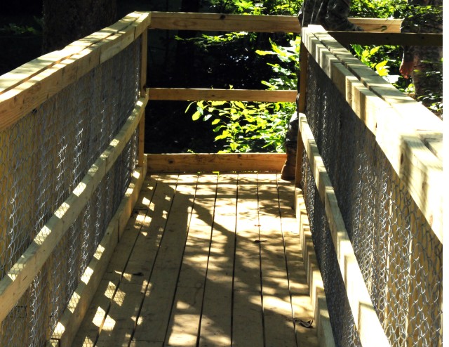 19th Engineers rebuild bridge for Camp Carlson Lake