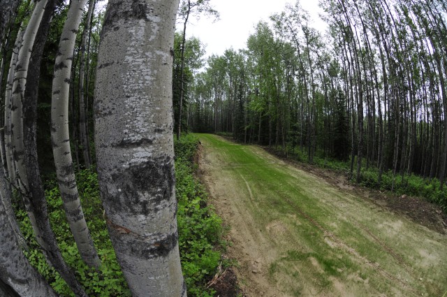 Newly graded trailhead connects new and existing trails at Birch Hill, Fort Wainwright