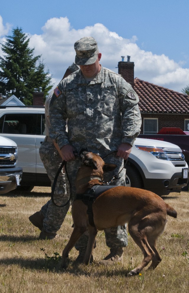 A Soldier and his dog