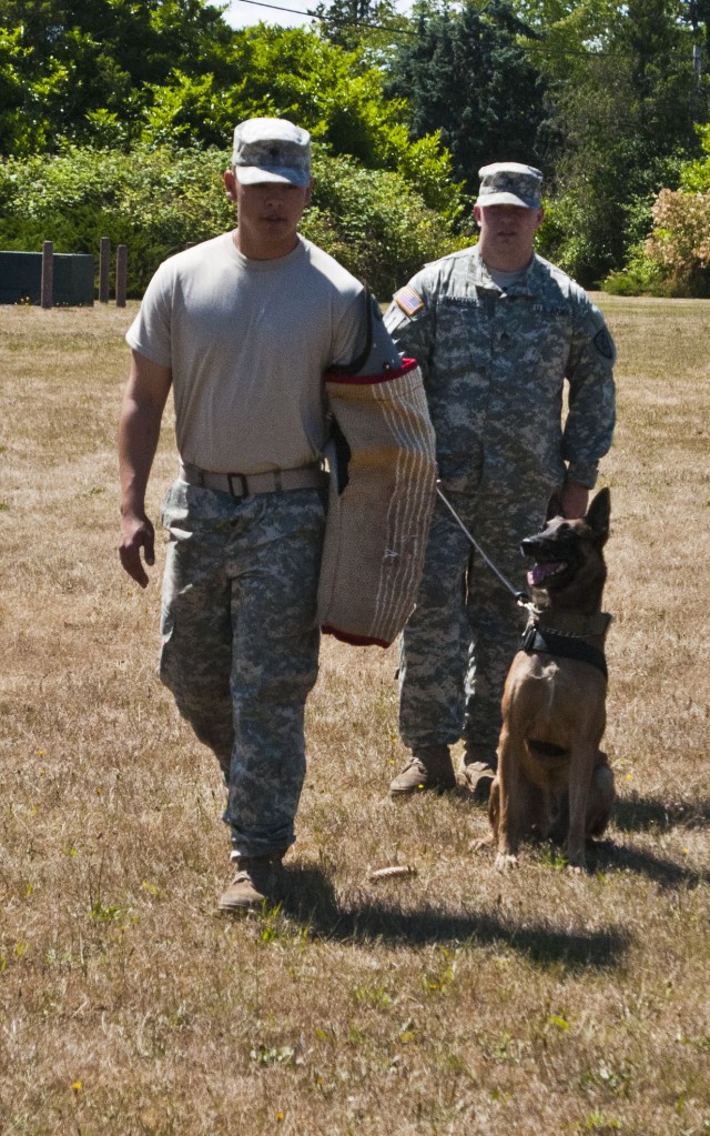 A Soldier and his dog