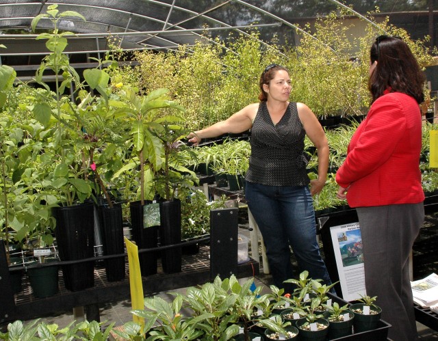 Hammack and Hawaii Natural Resource Program