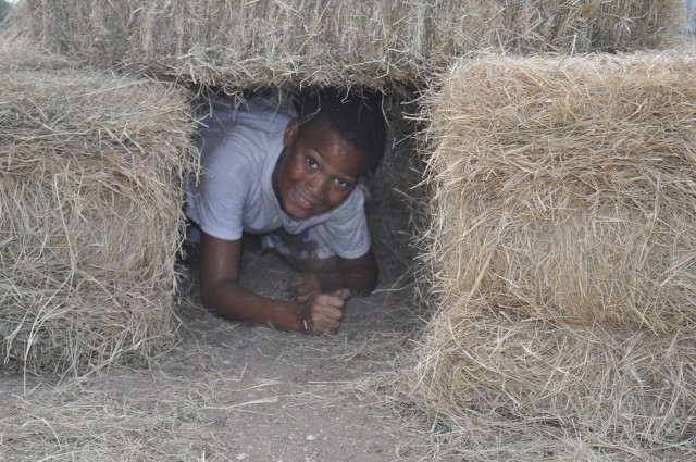 Horse Camp 1