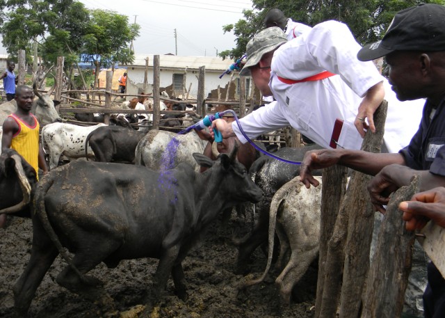 American, Ghanaian veterinarians support livestock herders