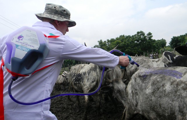 American, Ghanaian veterinarians support livestock herders