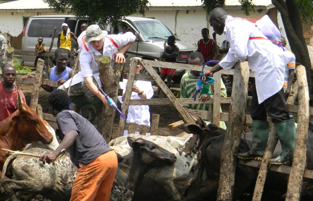 American, Ghanaian veterinarians support livestock herders
