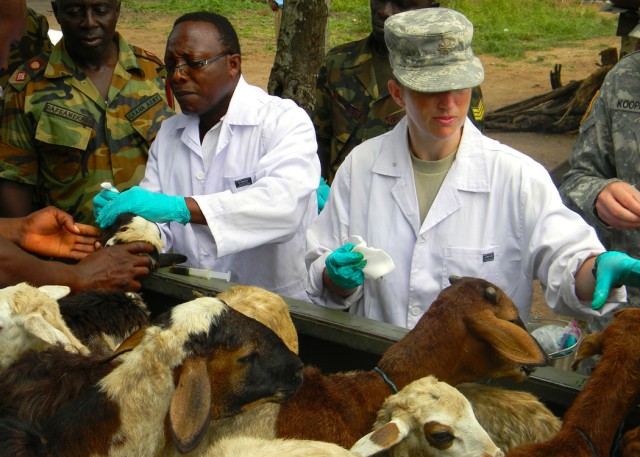 American, Ghanaian veterinarians support livestock herders