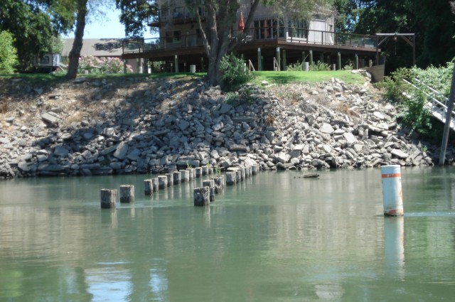 Wing dam and buoy