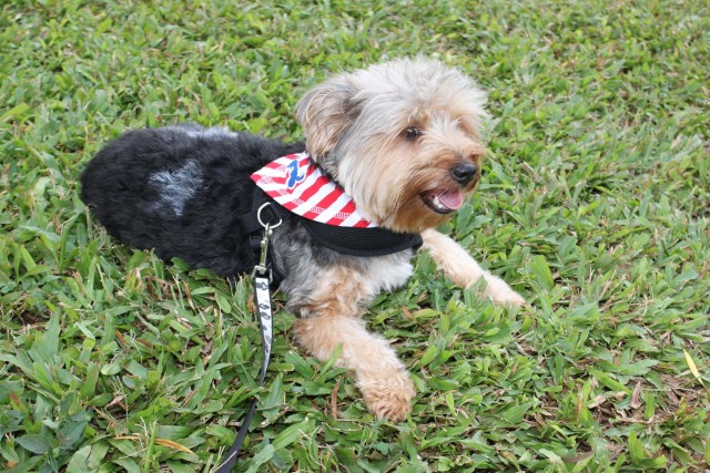 Pets, people have a tail waggin’ good time at 'Pets are People Too Expo'
