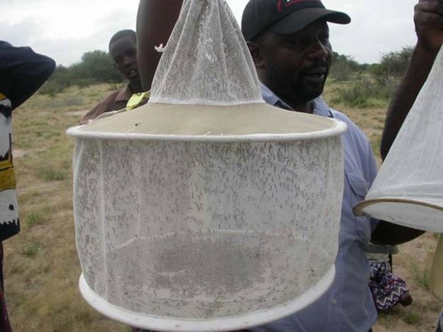 New device helps public health officials pinpoint Rift Valley fever