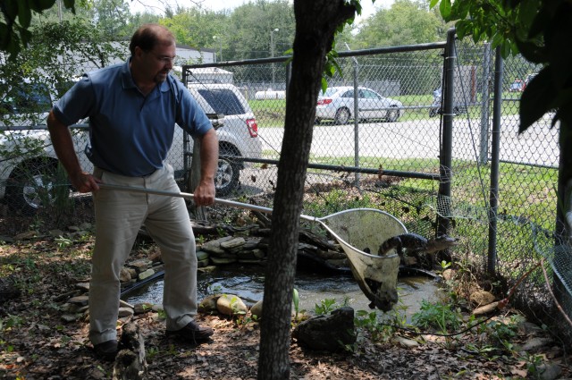 Managing endangered species, supporting the Army