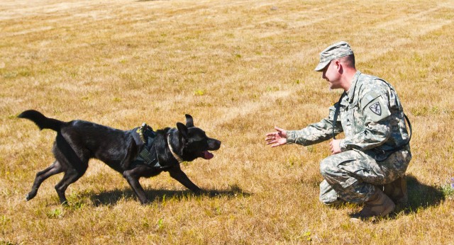 Four-legged Soldier sniffs out explosives, weapons