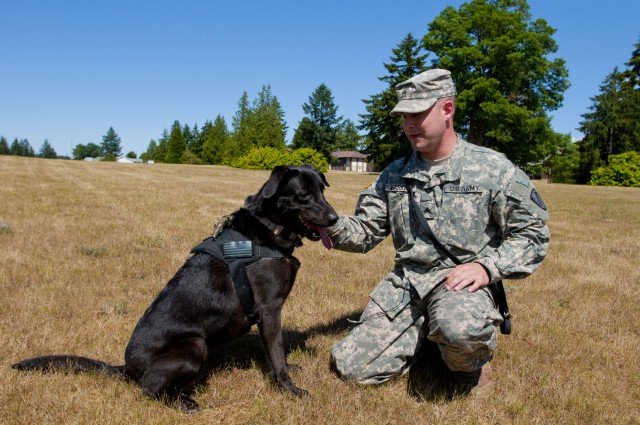 Four-legged Soldier sniffs out explosives, weapons