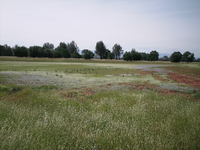 Corps awards record $4 million for wetland projects