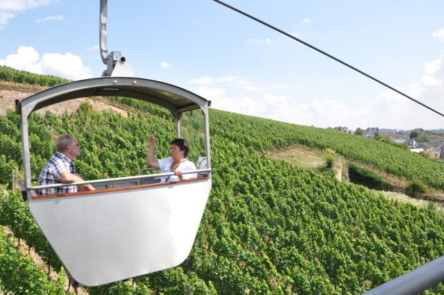 Ring Ticket: Enjoy a day of sailing over vineyards, cruising on the Rhine River and hiking