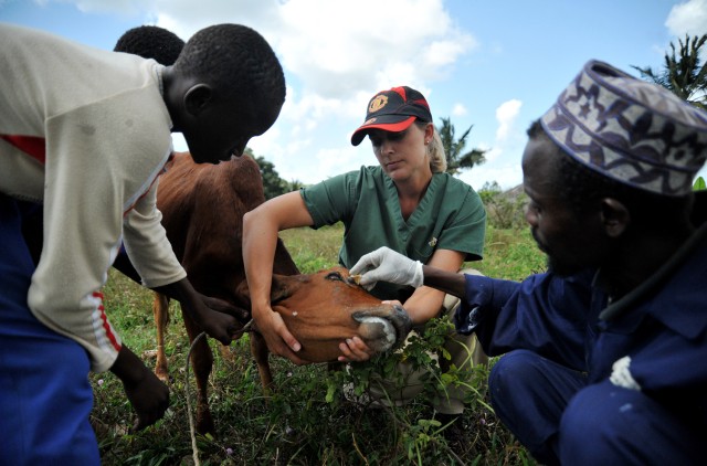U.S., Zanzibar veterinarians partner to treat livestock