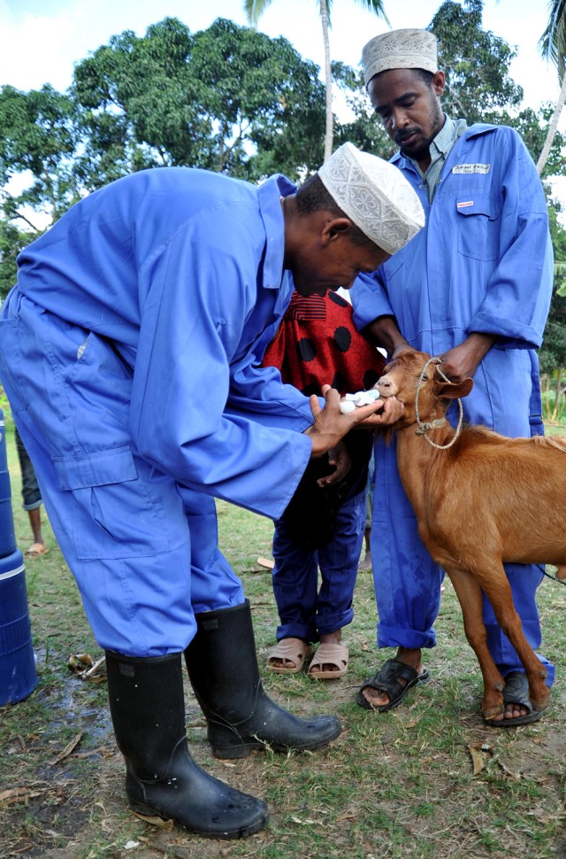 U.S., Zanzibar veterinarians partner to treat livestock