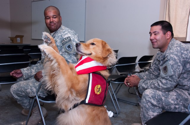 Soldiers watch therapy dog perform trick