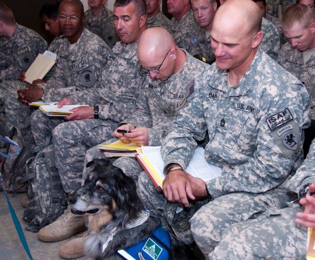 Therapy dog help Soldiers demobilize