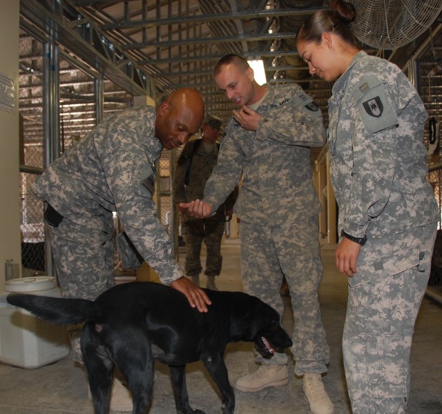 401st Army Field Support Brigade adopted unit keeps IED detection dogs in the fight